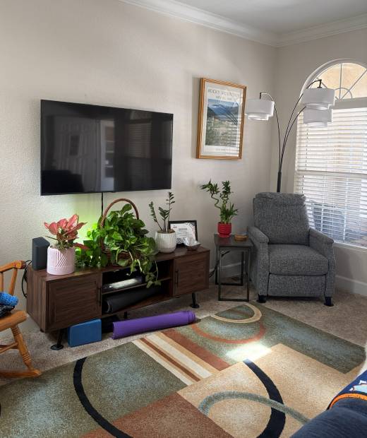 A Westminster apartment living room after the install