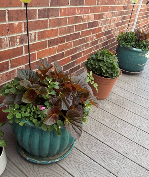 The same deck containers planted and filled in