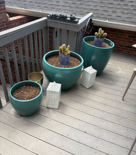 Deck containers with early spring plantings