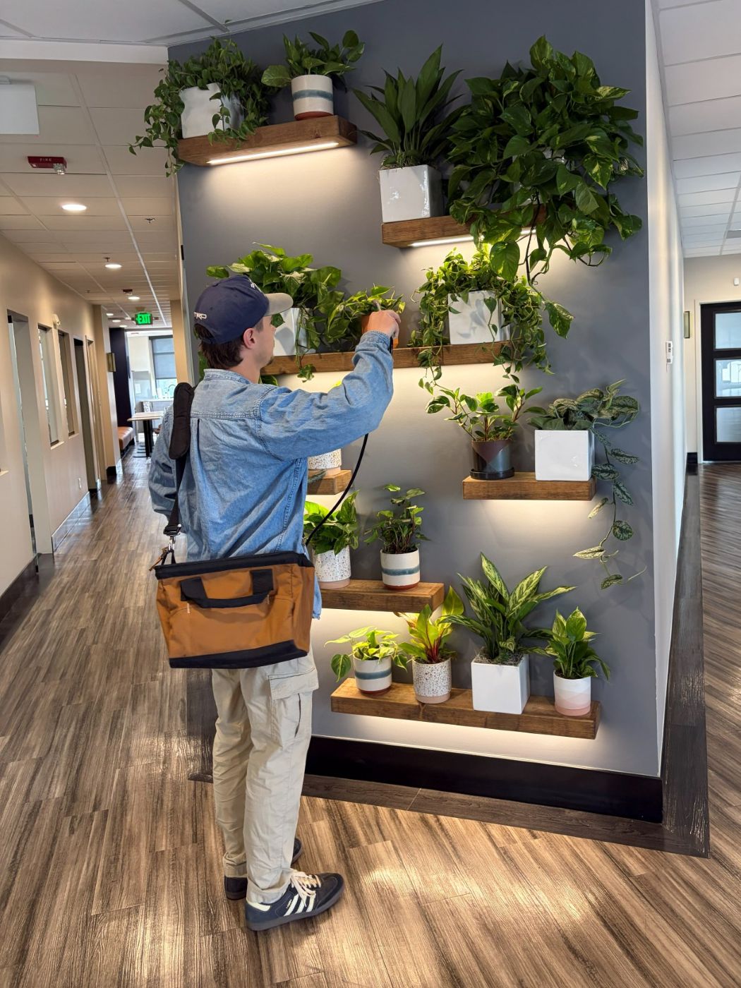 Kyle tending the plant wall during a maintenance visit