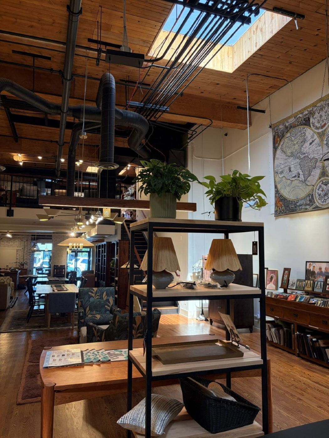 Plants threaded through a furniture showroom floor
