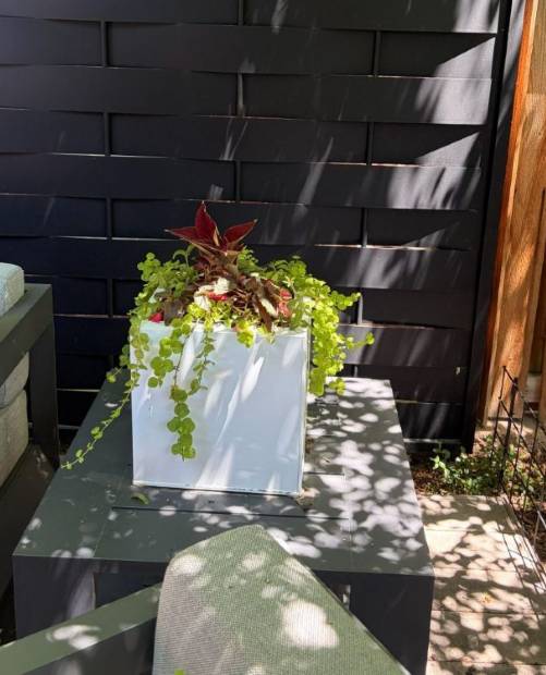The same white planter, planted and softening the fence