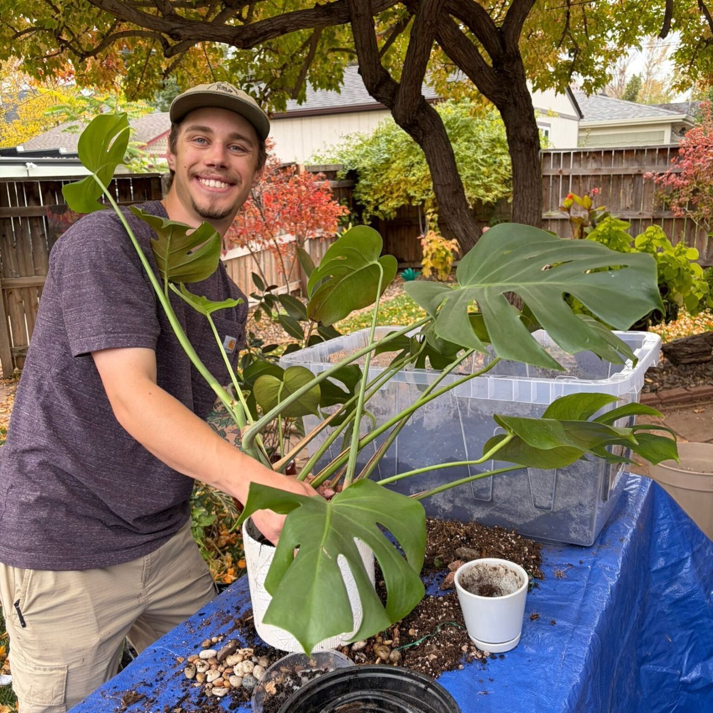 Kyle Lutze with a large monstera